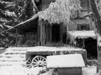 koncert dla Kasi Gaertner 29 marca 