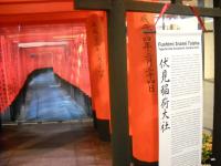 wystawa w GAlerii Krakowskiej -japońska wiosna