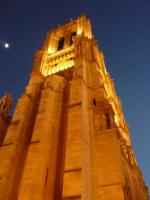 katedra Notre-Dame de Paris 