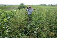 30-06-2012 Sobotnia wycieczka "Deptaczy" Korytnica - Sokołów Dolny (stacja PKP Sobków).