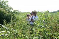 30-06-2012 Sobotnia wycieczka "Deptaczy" Korytnica - Sokołów Dolny (stacja PKP Sobków).