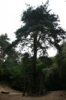 02-09-2012 Niedzielna wycieczka „Deptaczy” na Ponidzie