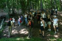 i okresowo bijącymi źródełkami. 