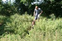 17-07-2011 Wycieczka piesza Klubu Górskiego: Barcza - Występa - Zachełmie - Zagnańsk 