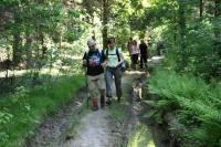 20-05-2012 Niedzielny spacer Klubu Górskiego i Deptaczy po Paśmie Cisowsko-Orłowiańskim.  