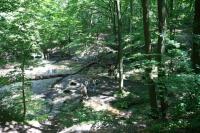 Zygmunta i Elżbiety,