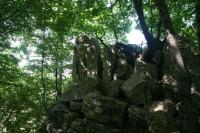 wchodzimy na ulubioną górę Zygmunta Krasińskiego, 