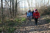 11/12-11-2011 Wyjazd Klubu Górskiego w Gorce 