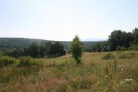 17-07-2011 Wycieczka piesza Klubu Górskiego: Barcza - Występa - Zachełmie - Zagnańsk 