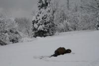 9/10-02-2013 Wyjazd Klubu Górskiego PTTK Kielce w Beskid Mały. 