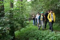 w kierunku następnej dolinki 