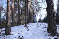 28-01-2012 Zimowy spacer po Suchedniowsko-Oblęgorskim Parku Krajobrazowym, czyli sobotnia wędrówka z „deptaczami Darka” 