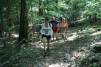 17-06-2012 Wspólna wycieczka KG PTTK Kielce i „Deptaczy” na Górę Dobrzeszowską.  