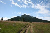 Wielki Rozsutec (Vel’ký Rozsutec – 1609,7 m n.p.m.). Skalisty szczyt przez wielu uważany za najładniejszy na Słowacji.