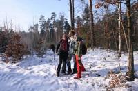 28-01-2012 Zimowy spacer po Suchedniowsko-Oblęgorskim Parku Krajobrazowym, czyli sobotnia wędrówka z „deptaczami Darka” 