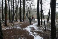 03-02-2013 Zimowe wejście na Łysicę – Trasa Klubu Górskiego PTTK Kielce 