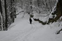 21/22-01-2012 Wyjazd Klubu Górskiego w Beskid Sądecki.