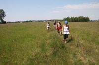 17-06-2012 Wspólna wycieczka KG PTTK Kielce i „Deptaczy” na Górę Dobrzeszowską.  