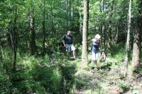 17-06-2012 Wspólna wycieczka KG PTTK Kielce i „Deptaczy” na Górę Dobrzeszowską.  