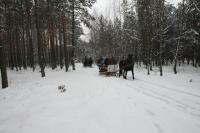 19-01-2013 Na kuligu z Deptaczami. 