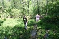 20-05-2012 Niedzielny spacer Klubu Górskiego i Deptaczy po Paśmie Cisowsko-Orłowiańskim.  