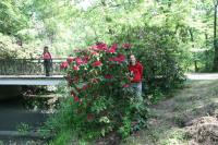 07-10.06.2012 Wspólny wyjazd KG i KTP „Przygoda” w Góry Opawskie, Jeseniki.  