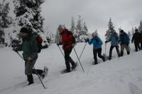 9/10-02-2013 Wyjazd Klubu Górskiego PTTK Kielce w Beskid Mały. 