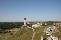 naturalnie osadzonego na skałach Zamkowej Ostrej Góry