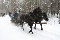 19-01-2013 Na kuligu z Deptaczami. 