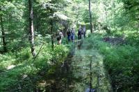 20-05-2012 Niedzielny spacer Klubu Górskiego i Deptaczy po Paśmie Cisowsko-Orłowiańskim.  