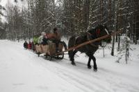 19-01-2013 Na kuligu z Deptaczami. 