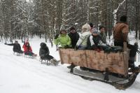 19-01-2013 Na kuligu z Deptaczami. 