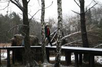 03-02-2013 Zimowe wejście na Łysicę – Trasa Klubu Górskiego PTTK Kielce 