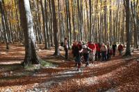 51 Ogólnopolski Zlot Sudeckich PTG PTTK - Głuchołazy 19/21-10-2012