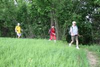 26-05-2012 XXIII „50-tka Świętokrzyska”