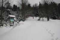 21/22-01-2012 Wyjazd Klubu Górskiego w Beskid Sądecki.