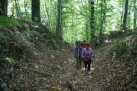 02-10-2011 Wycieczka piesza Klubu Przygoda: Miedziana Góra - Oblęgorek - Mniów