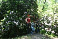 07-10.06.2012 Wspólny wyjazd KG i KTP „Przygoda” w Góry Opawskie, Jeseniki.  