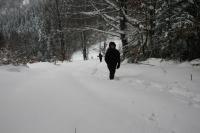 21/22-01-2012 Wyjazd Klubu Górskiego w Beskid Sądecki.