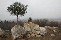 10-03-2012 Sobotnia wycieczka Klubu Górskiego PTTK Kielce.