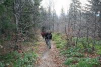 10/11-11-2012 Wyjazd Klubu Górskiego w Gorce.