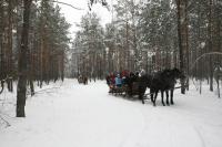 19-01-2013 Na kuligu z Deptaczami. 