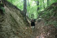 02-10-2011 Wycieczka piesza Klubu Przygoda: Miedziana Góra - Oblęgorek - Mniów