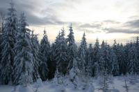 21/22-01-2012 Wyjazd Klubu Górskiego w Beskid Sądecki.