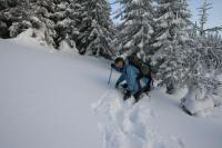21/22-01-2012 Wyjazd Klubu Górskiego w Beskid Sądecki.