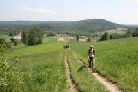 20-05-2012 Niedzielny spacer Klubu Górskiego i Deptaczy po Paśmie Cisowsko-Orłowiańskim.  