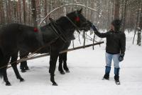 19-01-2013 Na kuligu z Deptaczami. 