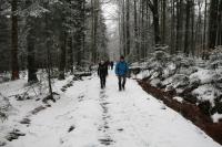 03-02-2013 Zimowe wejście na Łysicę – Trasa Klubu Górskiego PTTK Kielce 