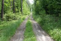 03-06-2012 Spacer na „Białe Ługi” z Deptaczami z MDMu.