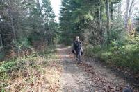 10/11-11-2012 Wyjazd Klubu Górskiego w Gorce.